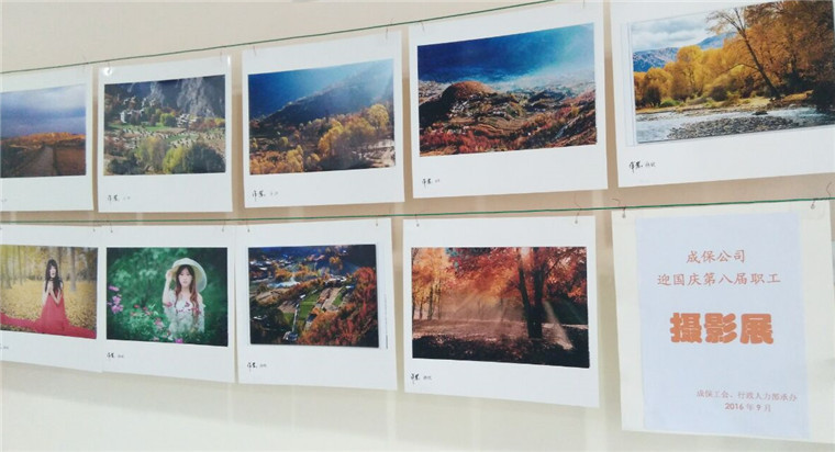 摄影展获优秀奖作品