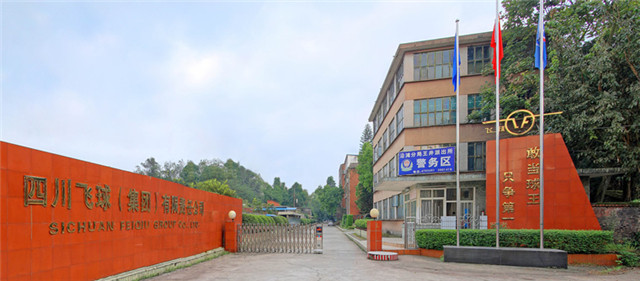 2飞球公司.jpg