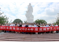 传承红色基因，拥抱智能未来 | 中共四川禾嘉集团党委举行庆祝“七一”党建活动